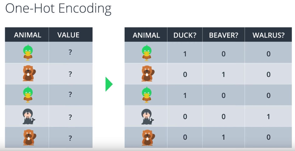 Screen Shot 2019-07-23 at 10.12.29 PM