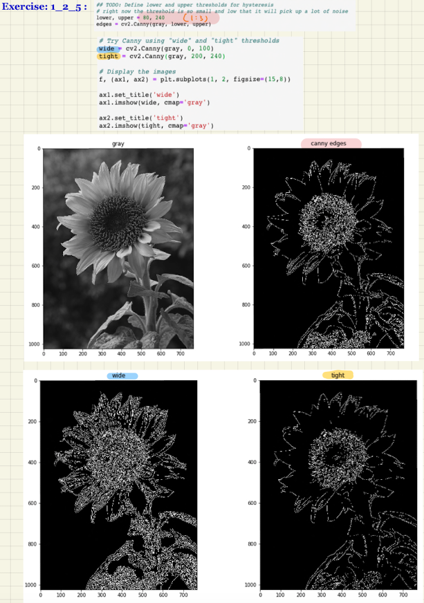 Screen Shot 2020-05-15 at 6.30.48 PM